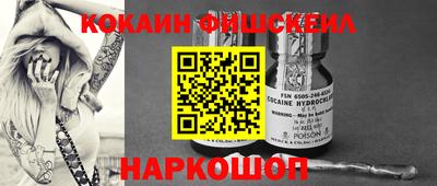 спиды Бийск