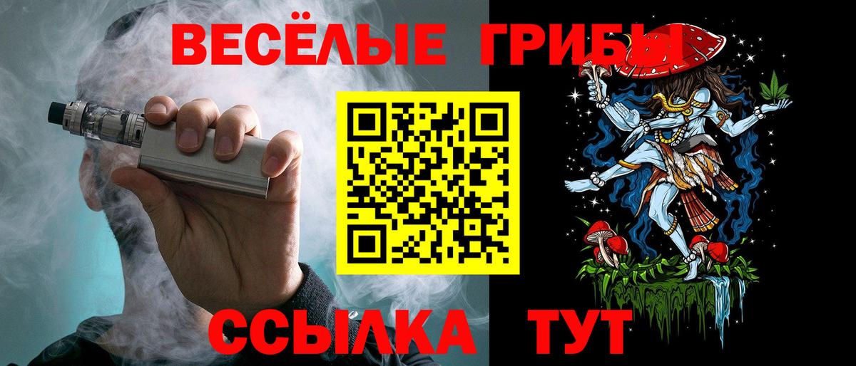 Псилоцибиновые грибы Psilocybine cubensis Ирбит